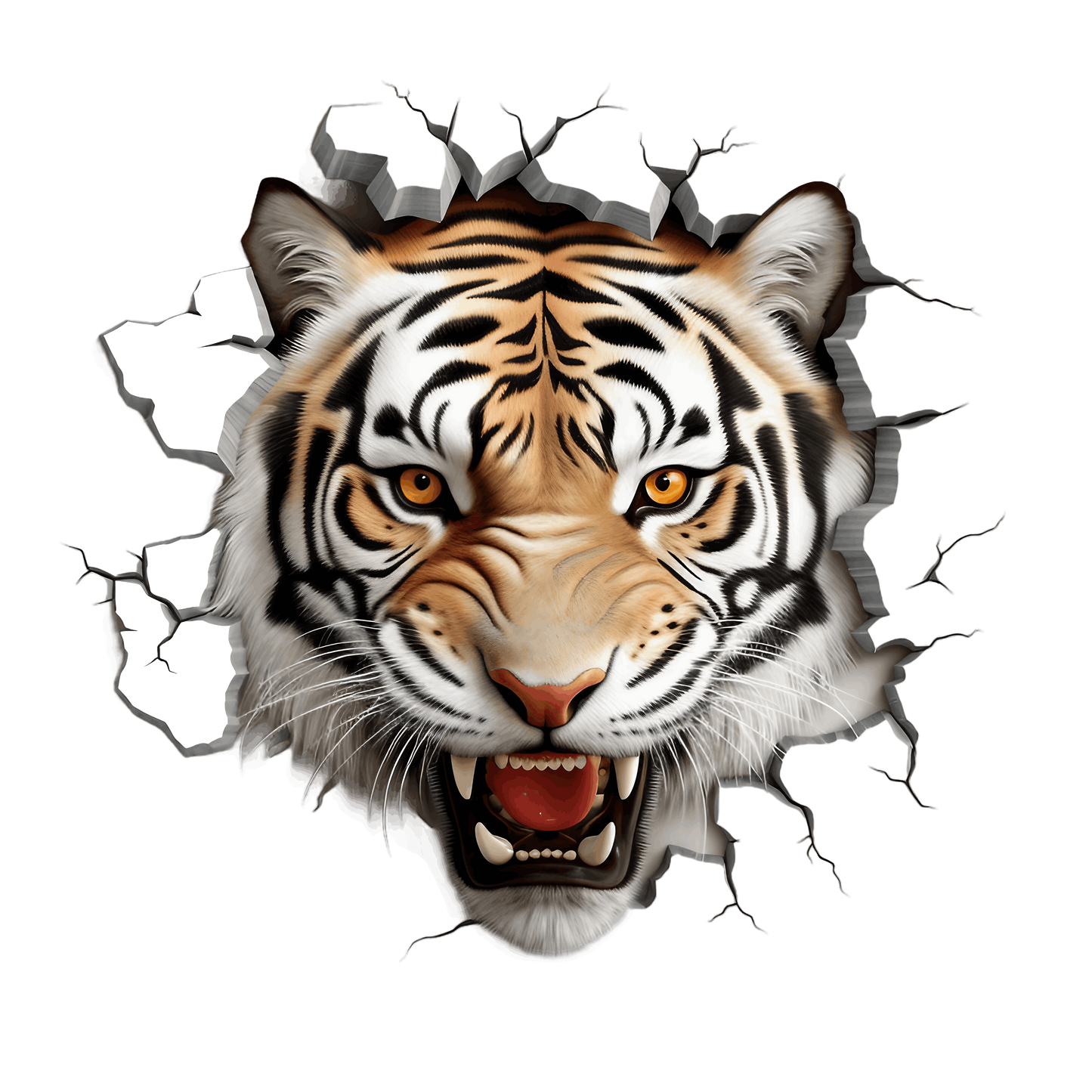 3D Tier #13