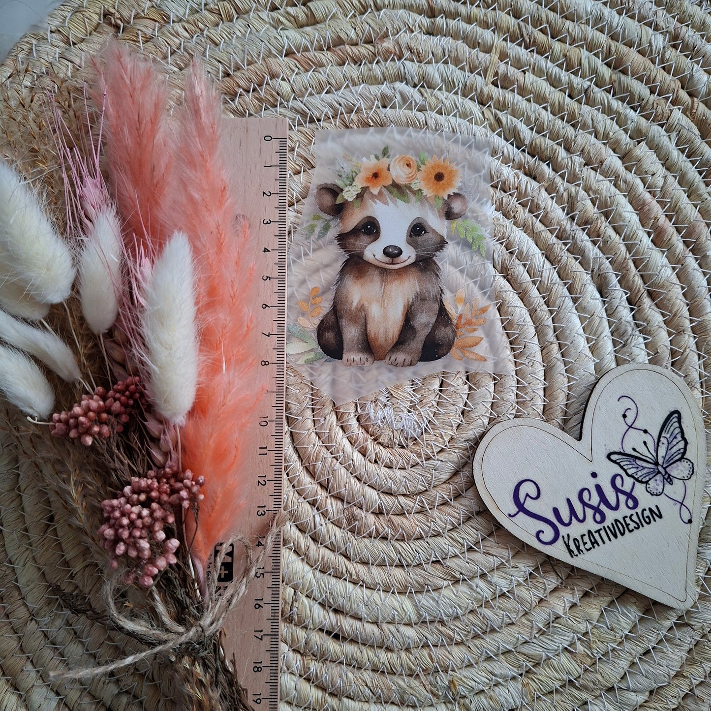 Bügelbild, Waschbär