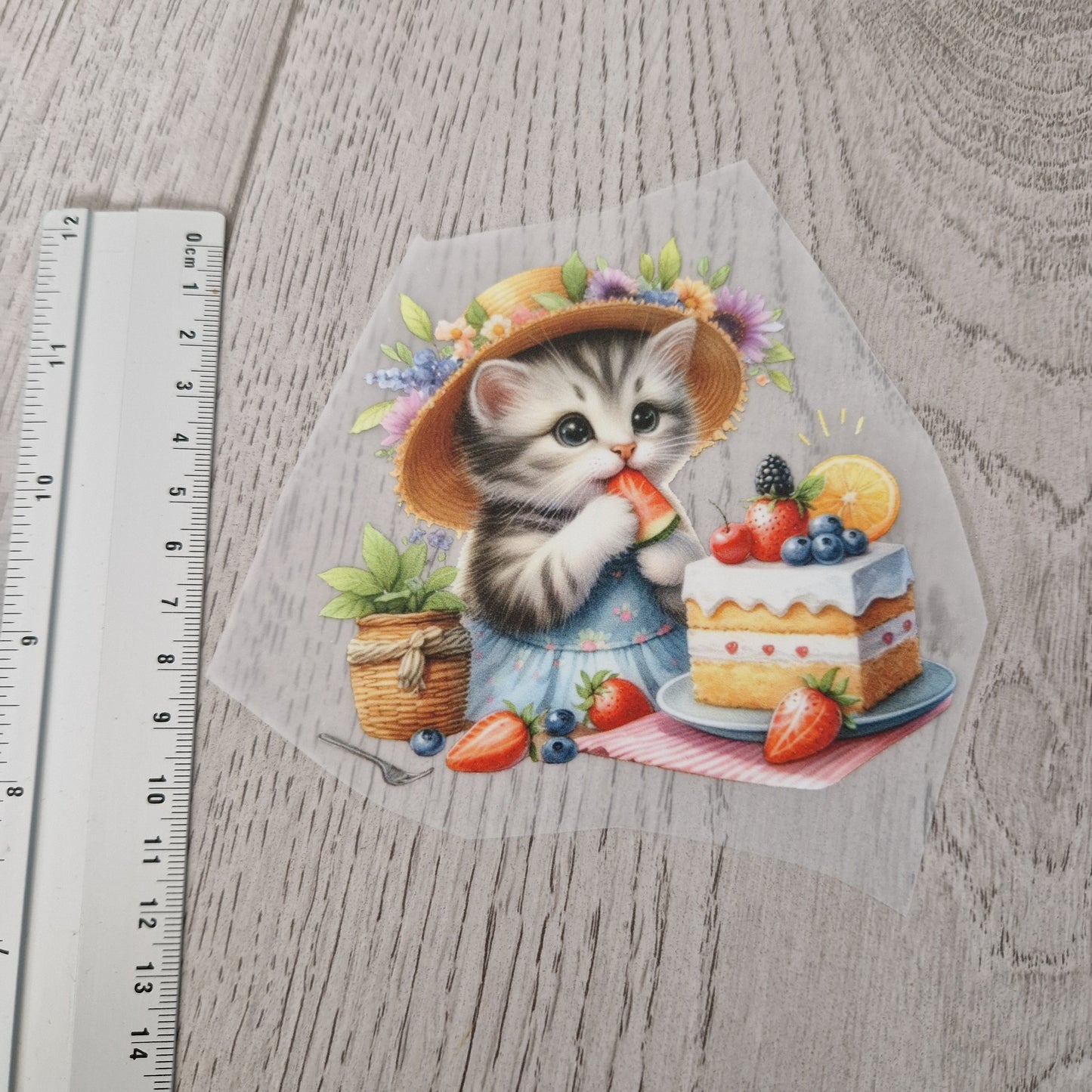 Sommerkatze