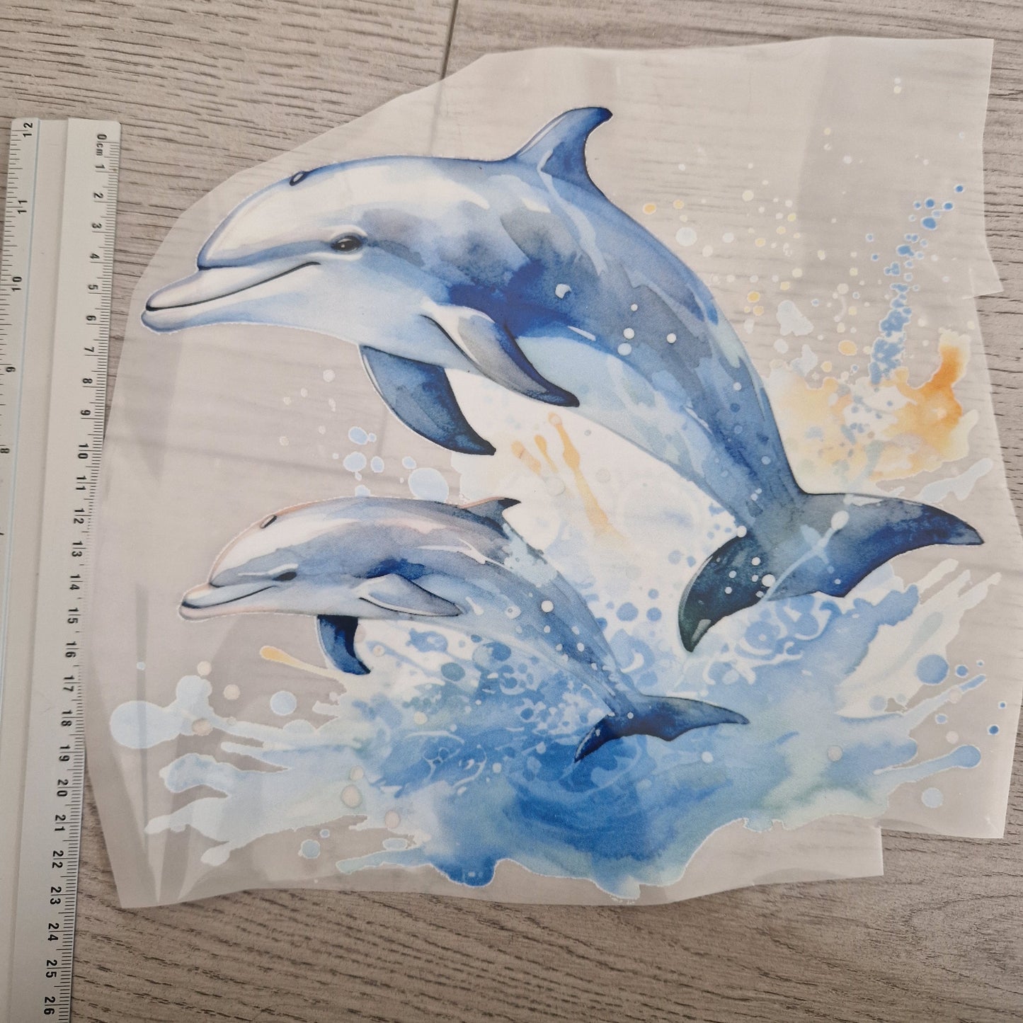 Delphin