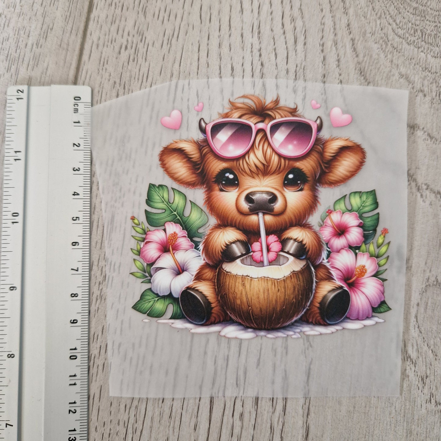 Sommerkuh