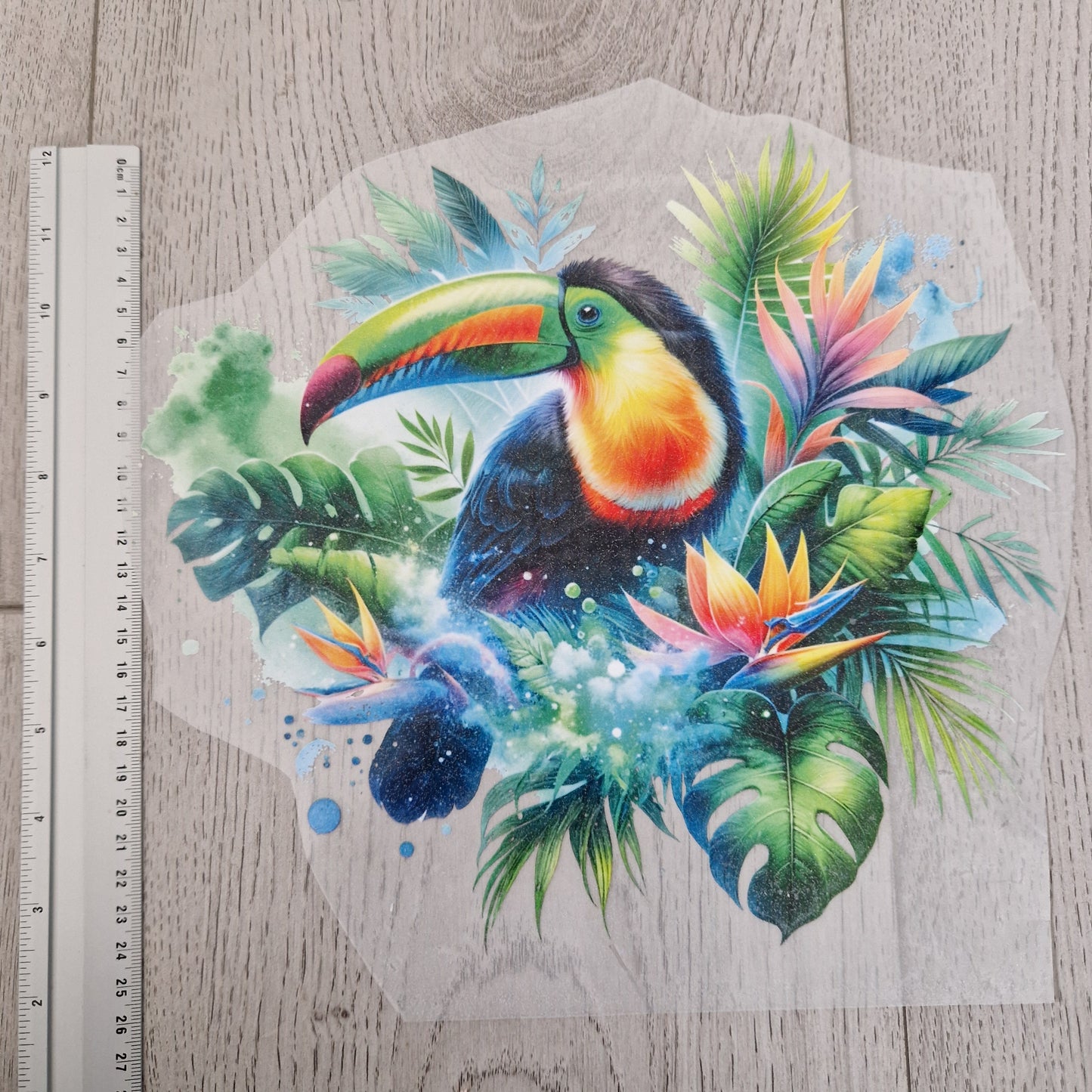 Toucan