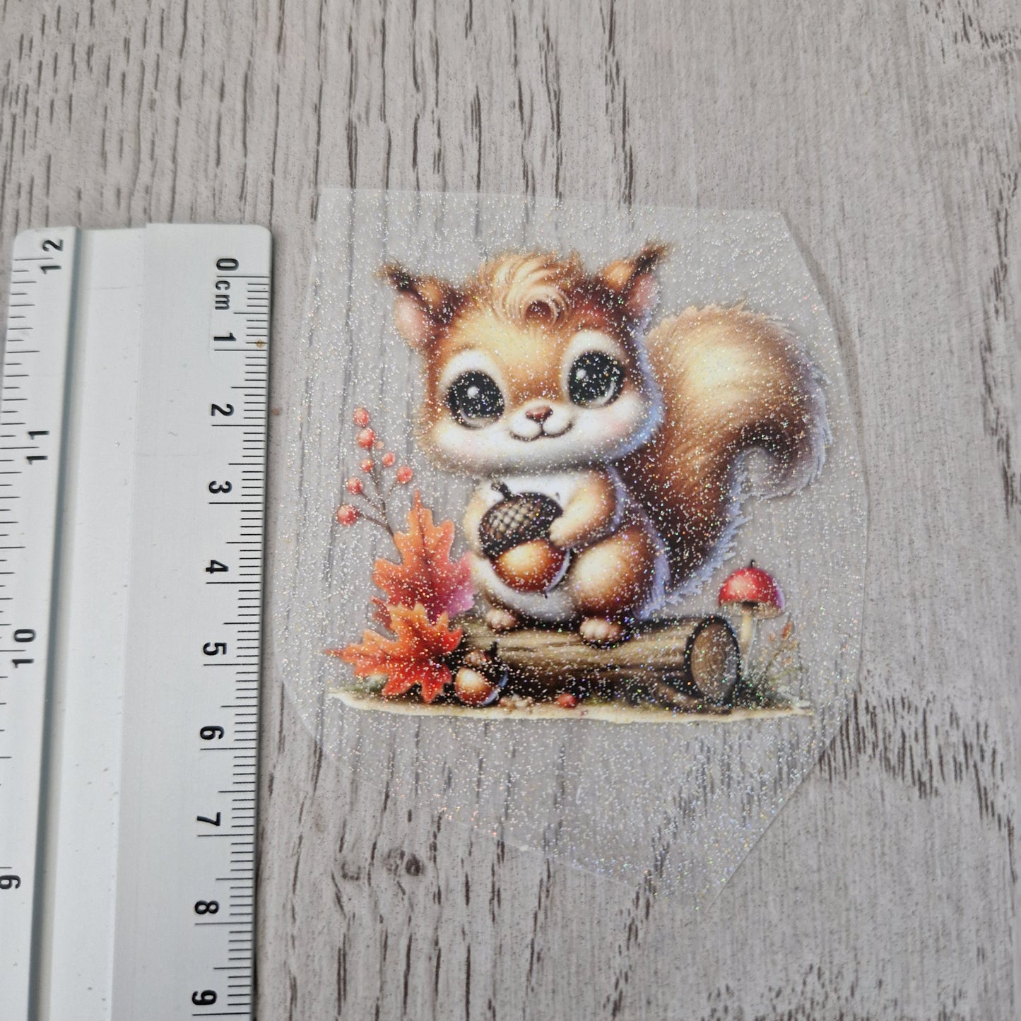 Eichhörnchen