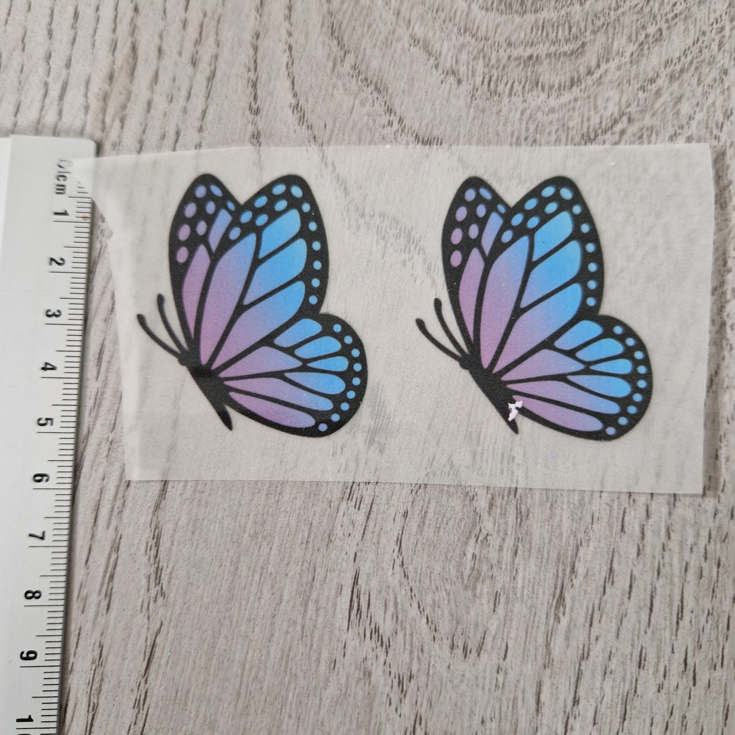 Schmetterling