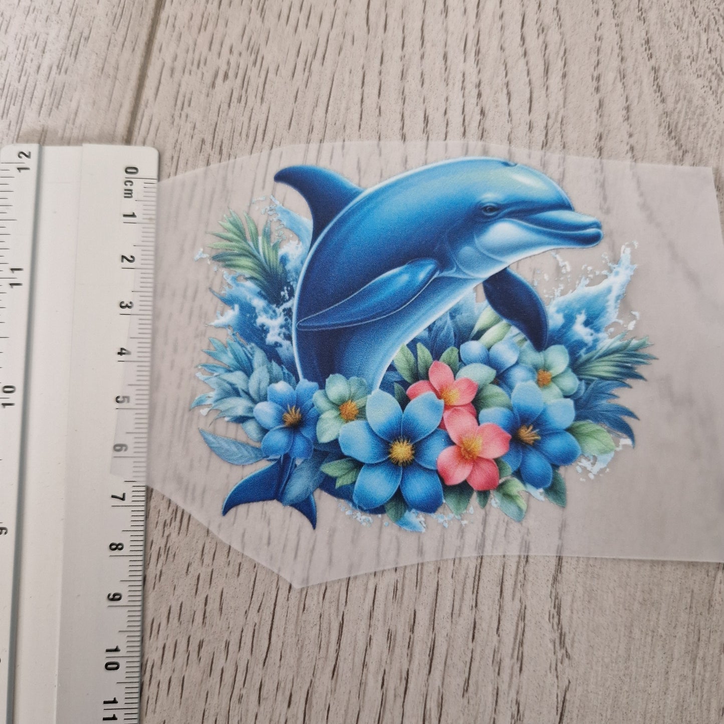 Delphin