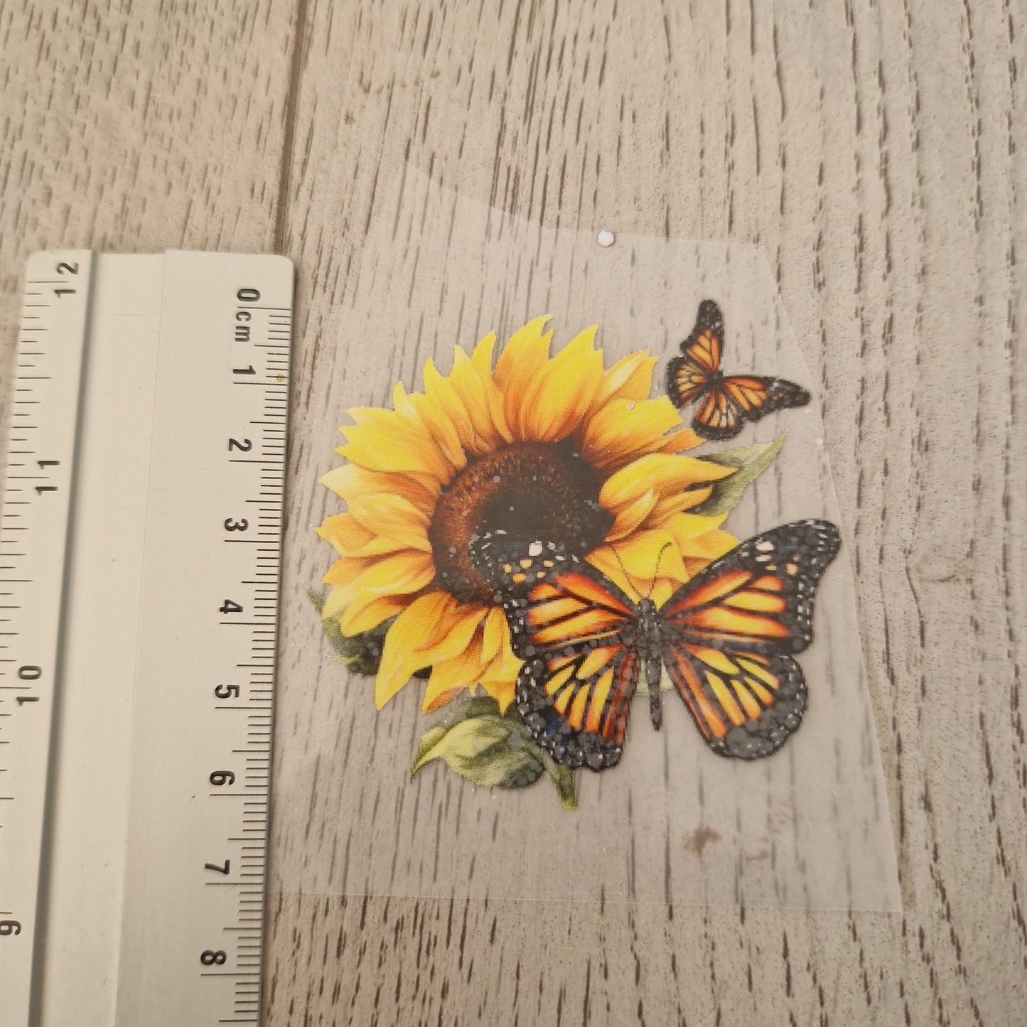 Sonnenblume