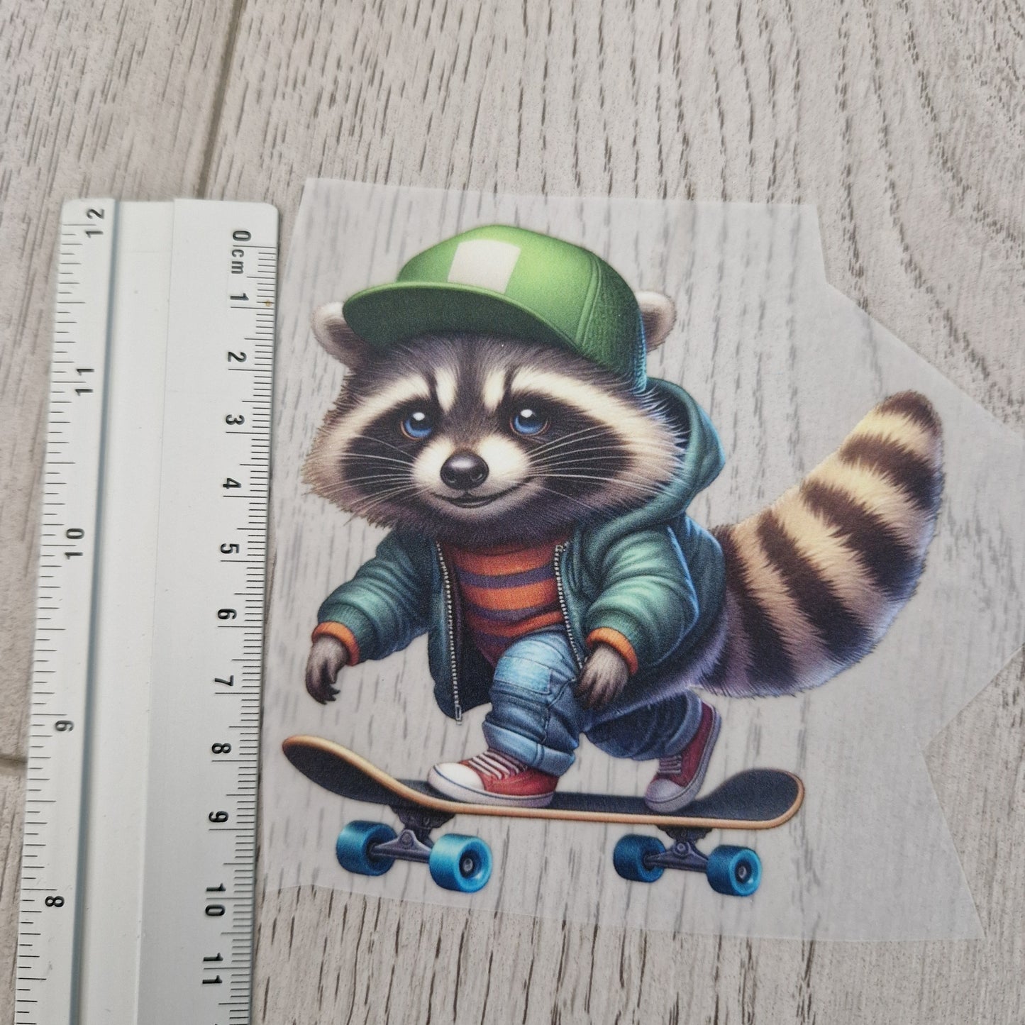 Waschbär Skateboard