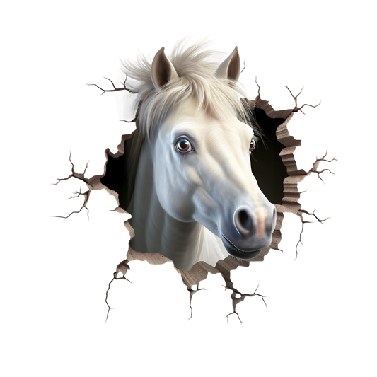 3D Tier #12