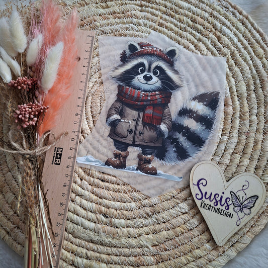 Bügelbild, Waschbär, Winter