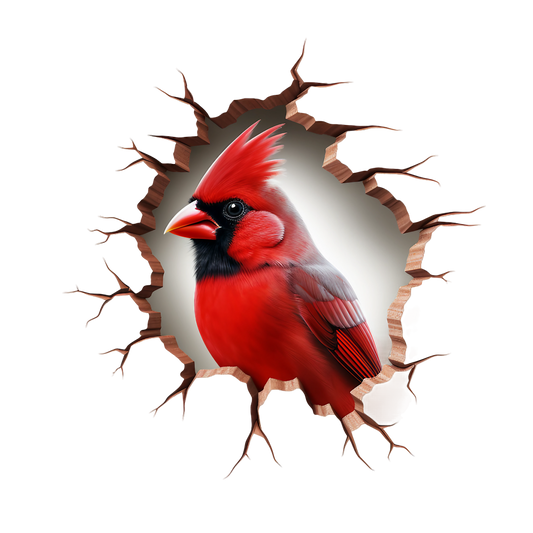 3D Tier #26
