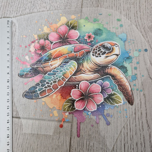 Schildkröte