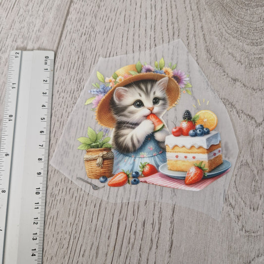 Sommerkatze