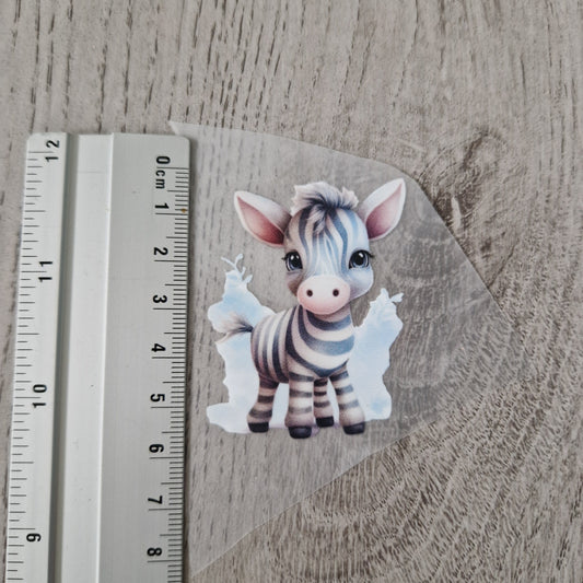 Zebra