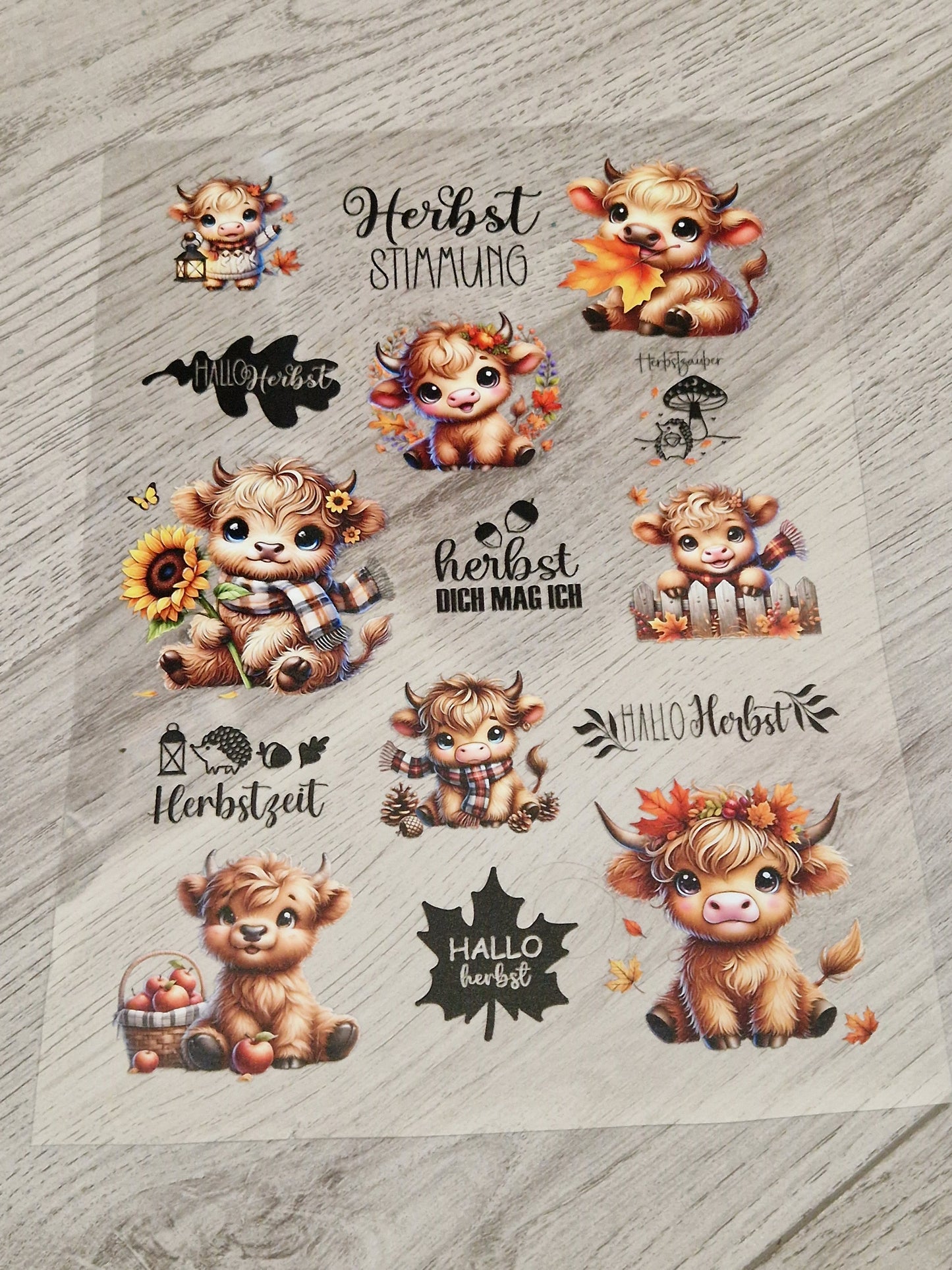 A4 Bogen Rub Ons Herbstkuh und Schriften