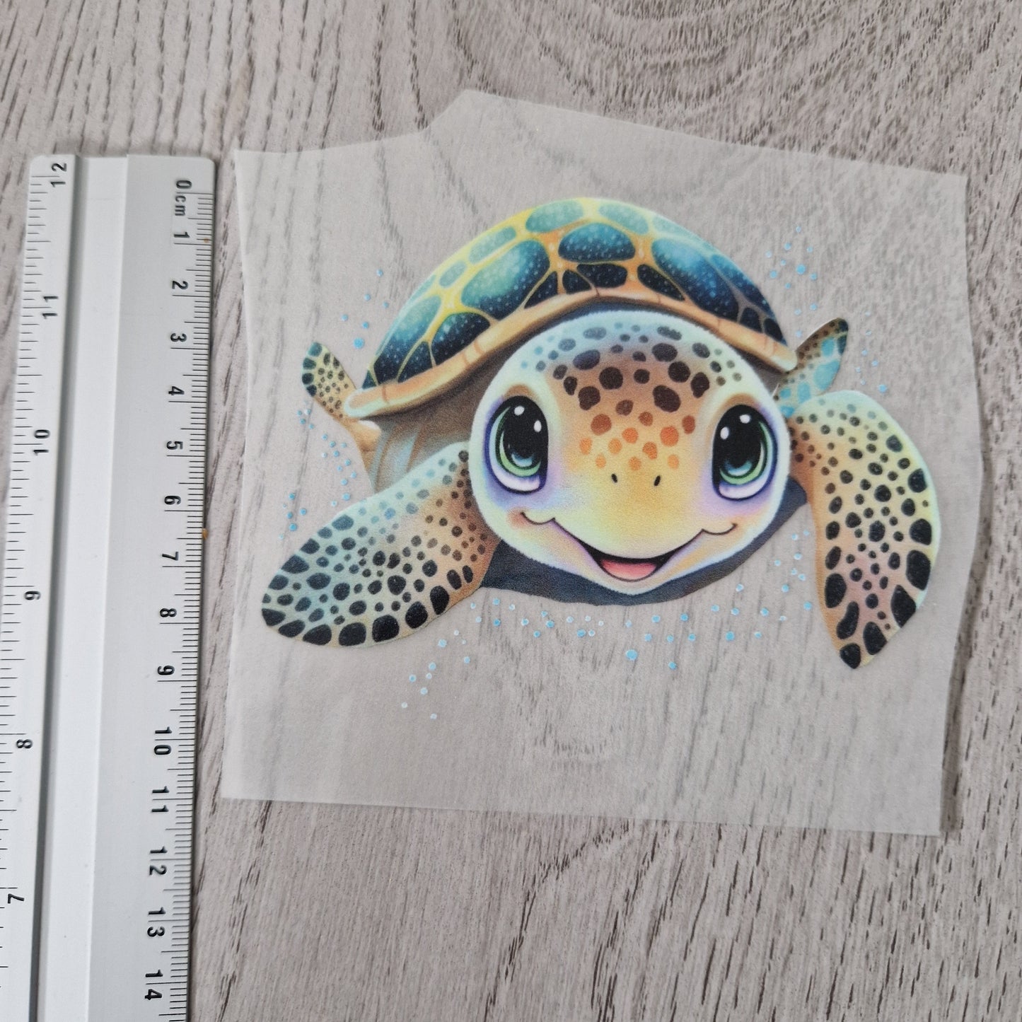 Schildkröte