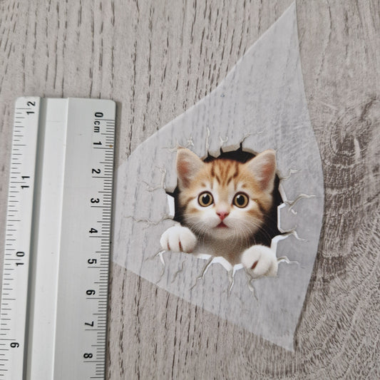 Katze Wand