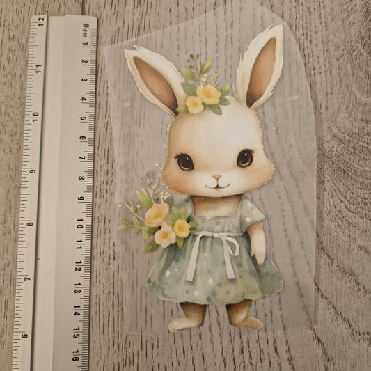 Hase