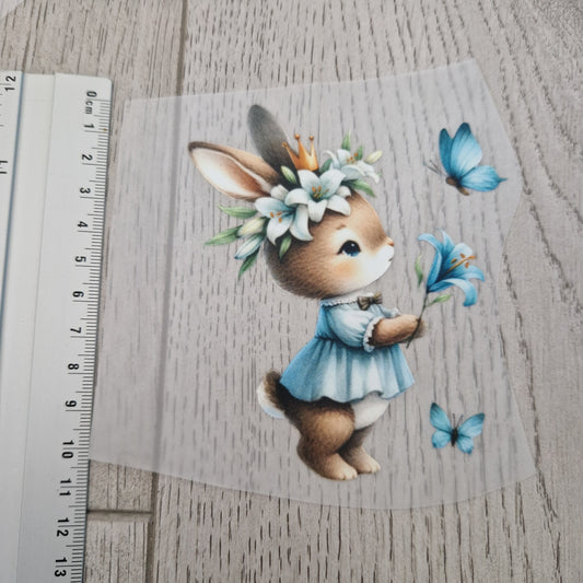 Hase