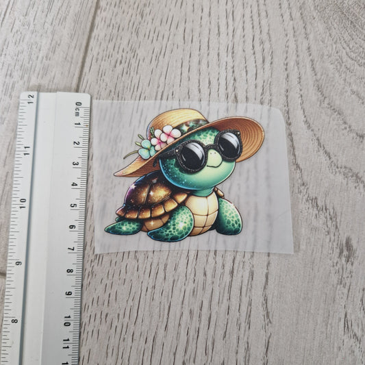 Schildkröte
