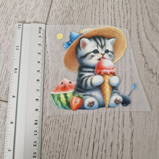 Sommerkatze