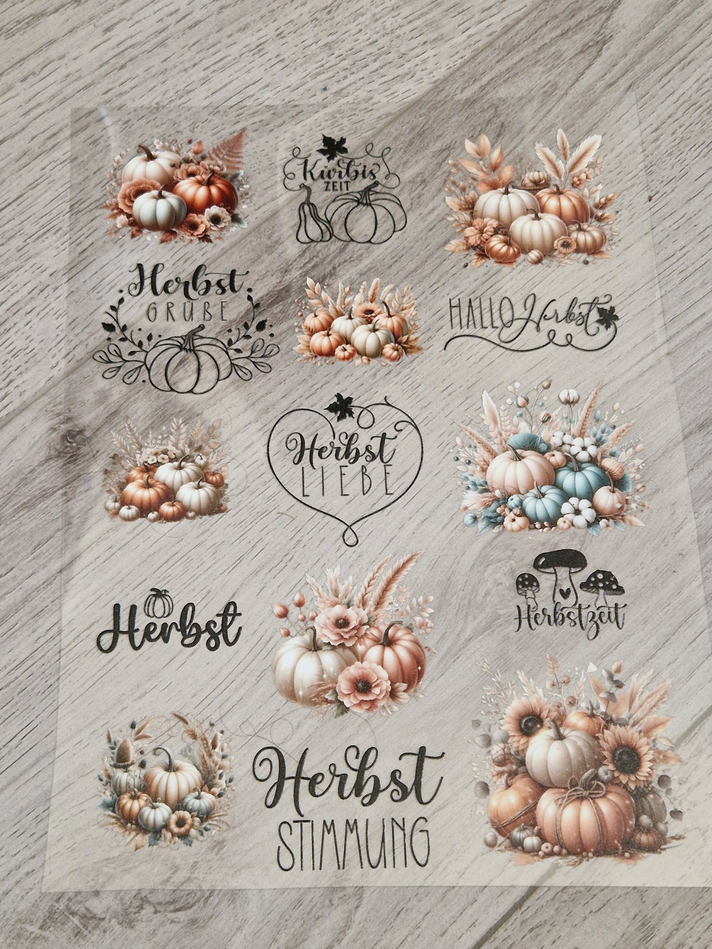A4 Bogen Rub Ons Kürbisse und Schriften