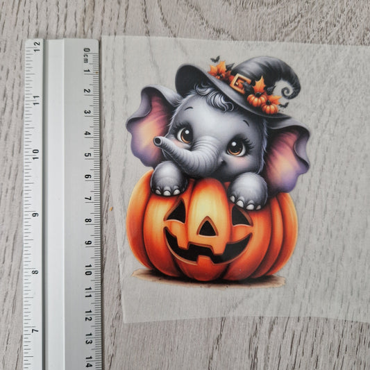 Halloween Elefant