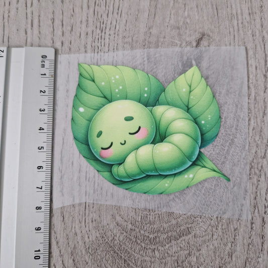 Raupe