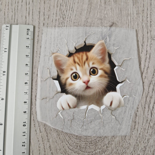 Katze Wand