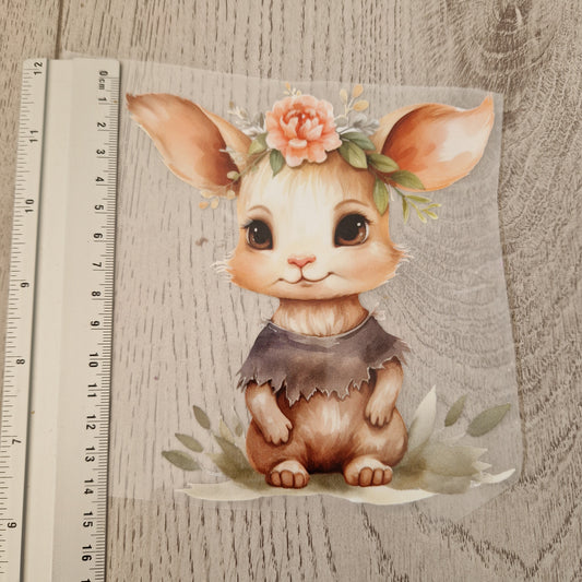 Hase