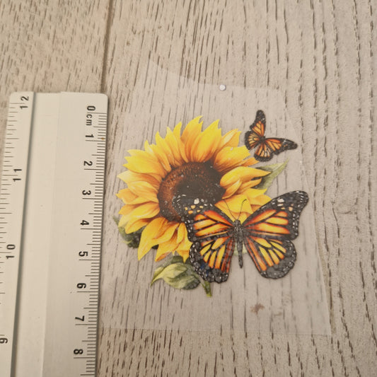 Sonnenblume