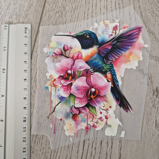 Kolibri