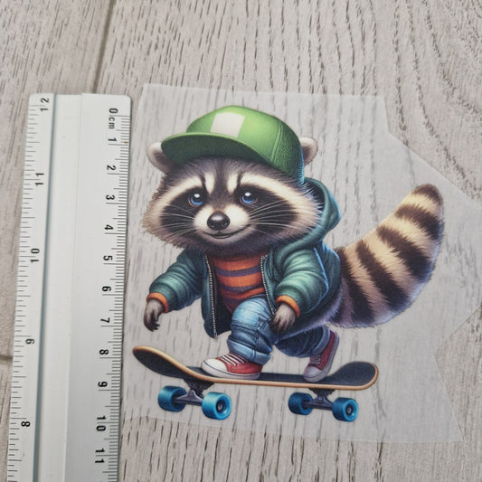 Waschbär Skateboard
